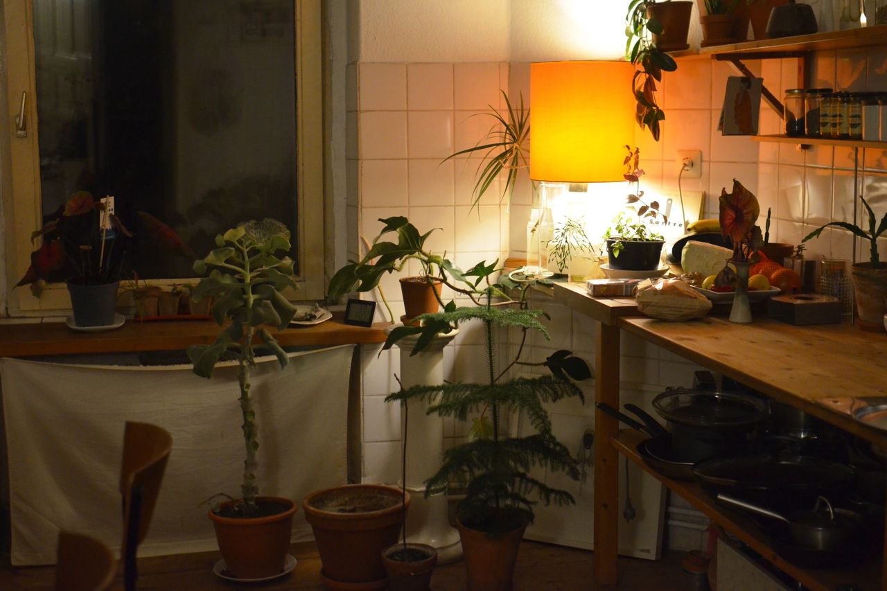 Emballage eco